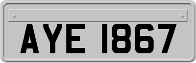 AYE1867