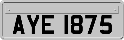 AYE1875