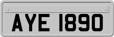 AYE1890