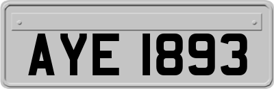 AYE1893
