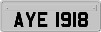 AYE1918