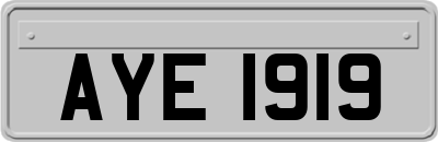 AYE1919