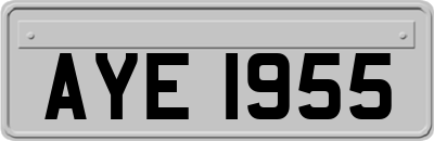 AYE1955