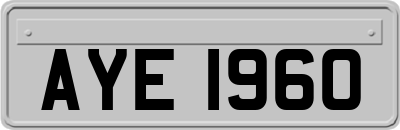 AYE1960