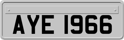 AYE1966