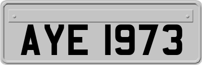 AYE1973