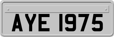 AYE1975