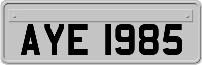 AYE1985