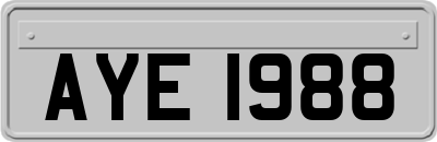 AYE1988
