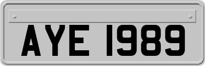 AYE1989