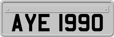 AYE1990