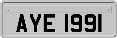 AYE1991