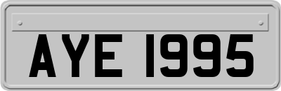 AYE1995