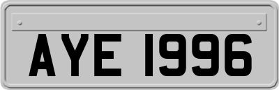 AYE1996