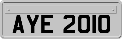 AYE2010