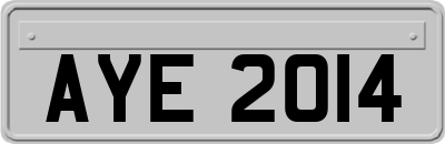 AYE2014