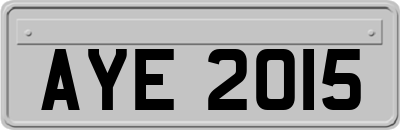 AYE2015