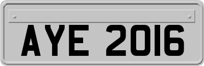 AYE2016
