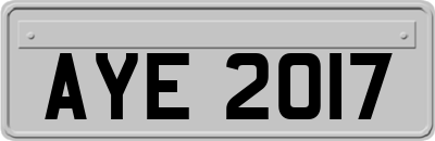 AYE2017