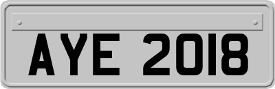 AYE2018