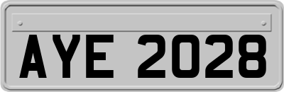AYE2028