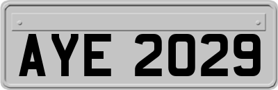 AYE2029