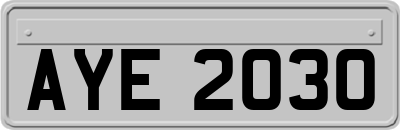 AYE2030