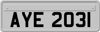 AYE2031