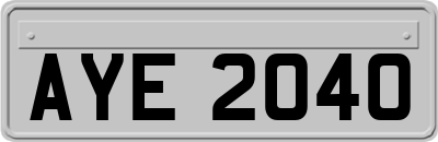 AYE2040