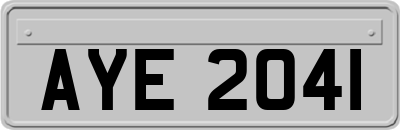 AYE2041