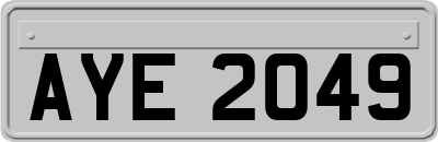 AYE2049