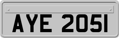 AYE2051