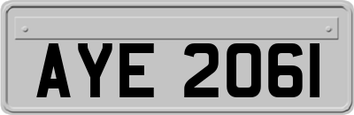 AYE2061