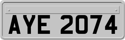 AYE2074