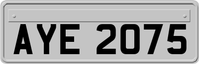 AYE2075