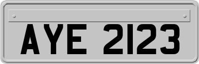 AYE2123