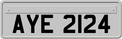 AYE2124