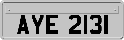 AYE2131
