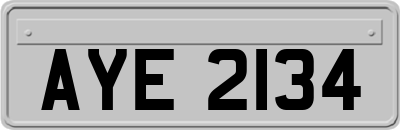 AYE2134