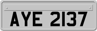 AYE2137