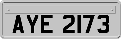 AYE2173