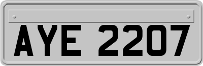 AYE2207