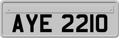 AYE2210