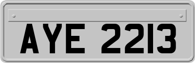 AYE2213