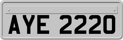 AYE2220