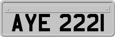 AYE2221