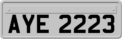 AYE2223