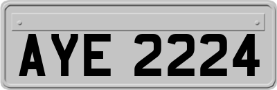 AYE2224