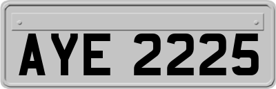 AYE2225