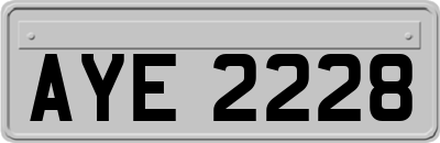 AYE2228